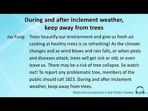 During and after inclement weather, keep away from trees