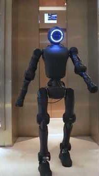 Humanoid Robots: From Companions to Superhuman