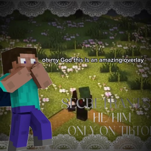 New Overlay for Minecraft Gaming