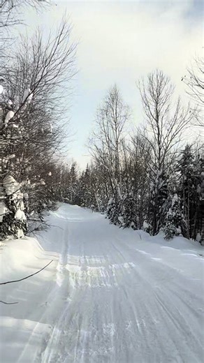 #fyp #viral #snowmobile #sledtok | driving in snow