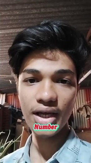 What Is Pseudocode? Explained Simply for Beginners