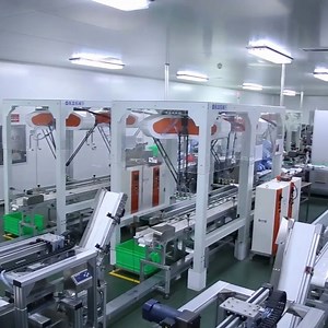 [Hot Item] Delta Robot Integrated Egg Tart Tray Packing Machine for Bakeries