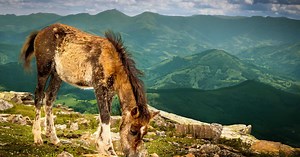 Pays basque : nos 10 coups de cœur en Euskadi
