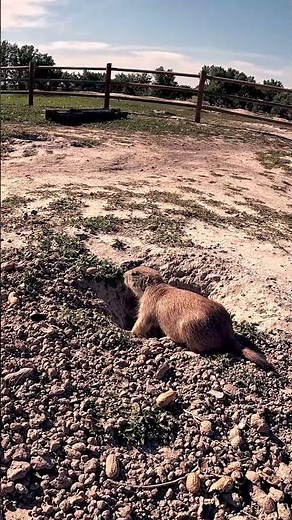 This is why everyone road trips to South Dakota #badlands #nationalpark #ustravel