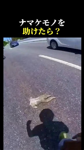 道路の真ん中にいたナマケモノ 助けてもらった後の「ひとこと」