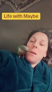 We’re back to stage five clinging and her pointing out my imperfections. Life is good #rideorfly #lifewithMaybe #midlifeawakening #greencheekconure #40something | Kristin Johnson