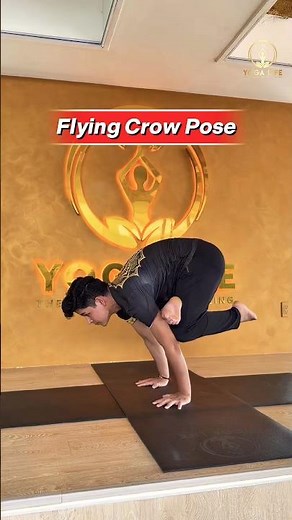Flying Crow Pose (Eka Pada galavasana) #flyingcrowpose #yoga #handbalance #strength #yogaskills