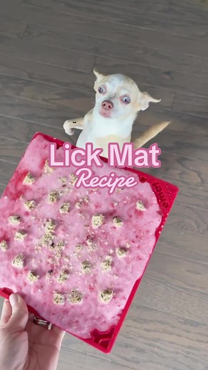 13K views · 186 reactions | This strawberry and goat's milk lick mat recipe is a delicious and nutritious way to keep your dog entertained on a warm day! Save this recipe to make later. | The Honest Kitchen | Facebook