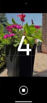 How to use the timer on iPhone to take hands free selfies and group photos.￼