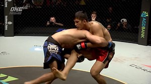 502K views · 132 reactions | Once Aung La Nsang(Burmese Python) gets...