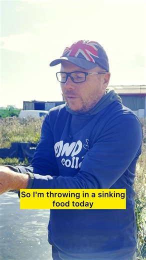 10K views · 105 reactions | It’s not just preference, it’s better for their health and for your pond. ✅ Reduces stress and surface splashing ✅ Encourages natural feeding behaviour ✅ Helps stir up algae and debris from the pond floor ✅ Keeps your water cleaner and clearer Smart fish, healthy pond.  Find the best food and pond supplies at  waterfeature.shop #PondAdvisor #KoiFeeding #KoiCare #Aquascape #PondTips #HealthyPond #PondLife | The Pond Advisor | Facebook