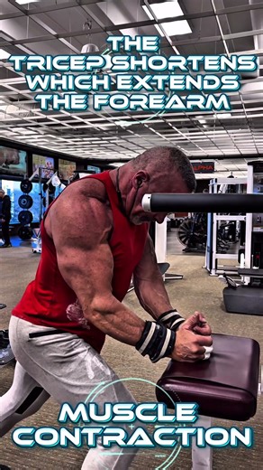 MUSCLE CONTRACTION IN ACTION #muscle #motivation #workout #contraction