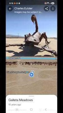 i found a worlds biggest scorpion 🦂 in map #shorts #horrorstories #shortsfeed