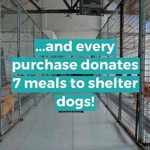 11 reactions | WOW. Just, Wow.  Cannanine Organic CBD oil is EXPLODING in popularity, but did you know this? CBD oil joint alleviates nausea, joint pain, anxiety, seizures and allergies for dogs! Try Cannanine CBD Oil: https://iheartdogs.co/Cannanine-Now | I Love My Pug | Facebook