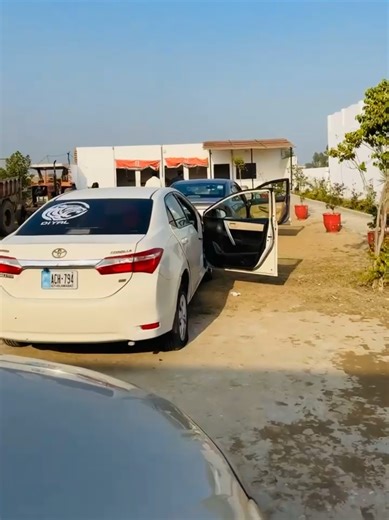 Explore DIY Al Group: Celebrating Chak Jhumray