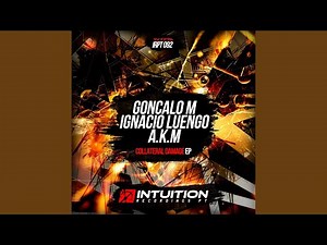 Collateral Damage (Original Mix)