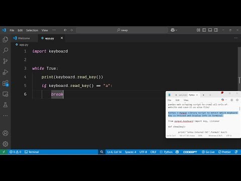 Python 3 Pynput Library Script to Detect Which Keyboard Key is Pressed and Display Info in Terminal
