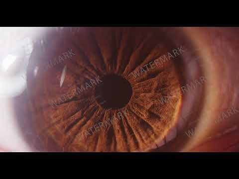 Ultra Close up Macro Eye 4k