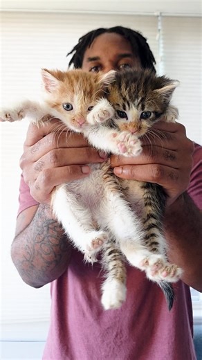 403K views · 6.5K reactions | There is a direct correlation between...