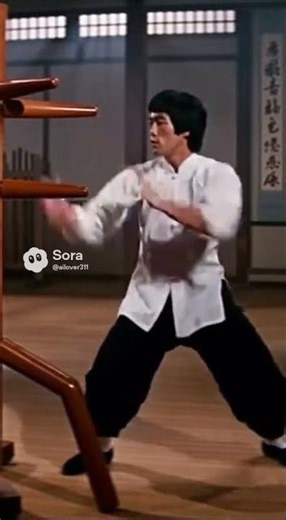 Bruce demonstrates wing tsun kuen section 27