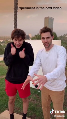 World's Largest Elephant Toothpaste Experiment with David Dobrik