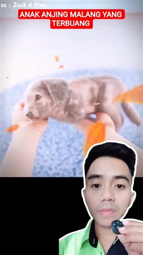 Genius! This Kid Saved a Puppy Using Lego Bricks! 🐶🧩 #shorts