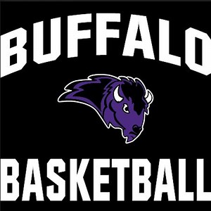 BUFFALO BISON GBB • Home