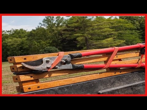 Quality product - SMARTSTRAPS 331 Orange 36" Bungee Cord, 2 Pack