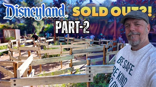 Disneyland capacity isn’t expanding – it’s shifting | State of Disneyland part 2