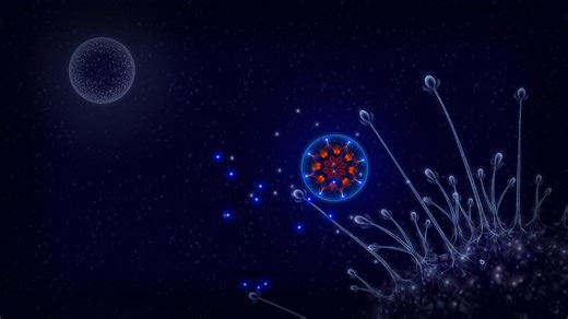 Download Microcosmum: survival of cells Demo Free and Play on PC
