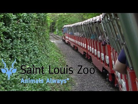 POV Saint Louis Zoo Zooline Railroad
