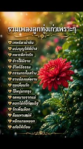 รวมเพลงลูกทุ่งเก่าเพราะๆ โดนใจ