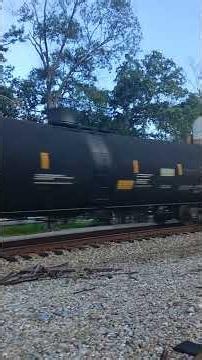 NS SD70ACe 1125 gives shave and a haircut two bits twice with UP 8178 and he brings a SD70AH-T4 3060