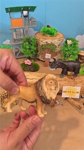 Amazing Lion Facts! Meat Eaters, Water Drinkers & Shade Lovers 🦁