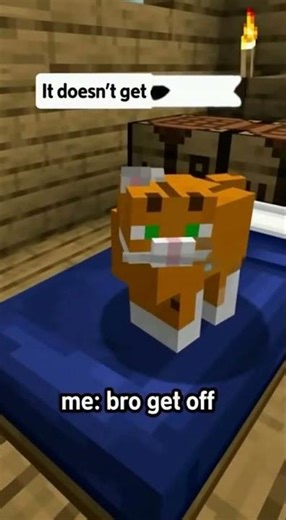 Creepers? Not on My Cat’s Watch! #minecraftchaosshorts
