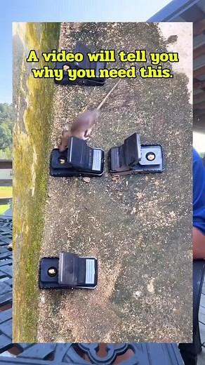 Mouse or rodent problem solved! #pestcontrol #mouse #tiktokshopblackfriday #tiktokshopcybermonday