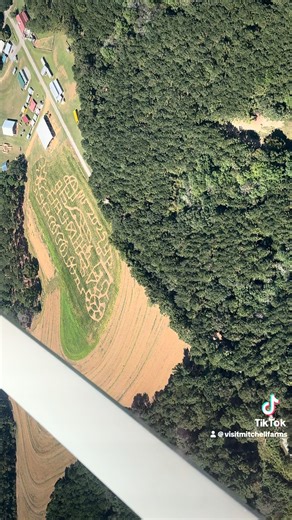 Lets fly over the maze y'all! #mitchellfarms #maze #pumpkinpatch | Mitchell Farms