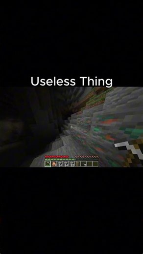 Useless Thing 😂💀 | Minecraft Funny Moment