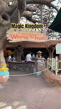 Winnie the Pooh Ride POV - Magic Kingdom