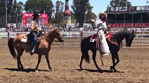 15K views · 309 reactions | HAPPENING NOW: The Grand Entry at the California Rodeo Salinas | KSBW TV Action News 8 | Facebook