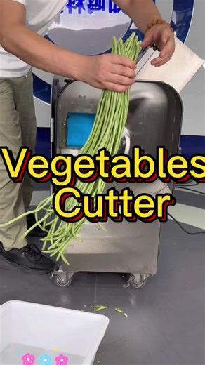 Revolutionary Machine for Effortless Vegetable Cutting