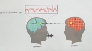 Scientists Explore How Brains Work During Conversations