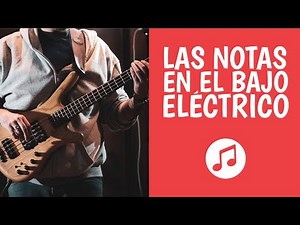 Las Notas en el BAJO ELÉCTRICO [Paso a Paso]