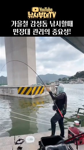 [부대쇼츠 66] 민장대 관리의 중요성! #낚시부대 #부산바다 #fishing