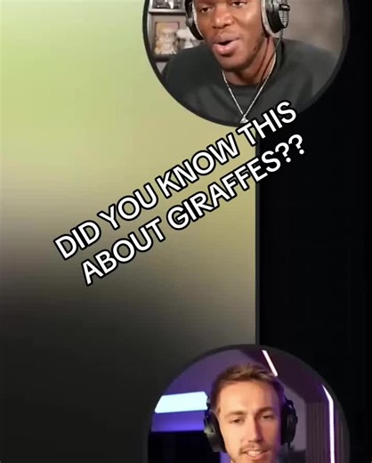 Did you know giraffes fight by headbutting? Learn the surprising truth about giraffe necks and mating rituals! #GiraffeFacts #AnimalKingdom #WildlifeTrivia #GiraffeMating #AnimalBehavior #NatureFacts #ZooFacts #AnimalScience #GiraffeNecks #EvolutionFacts #clipgoat Credits - Sidemen Reacts #fyp #foryou #foryoupage