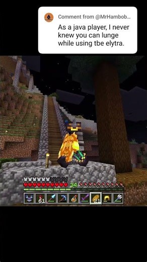 does it work on java? #minecraft