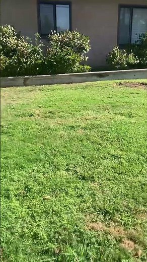 Ultrasonic cat repellent high pitch sounds nuisance in the neighborhood