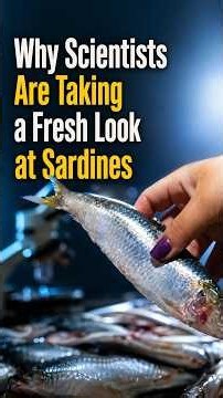 Are Sardines Actually Good for You? What Science Says