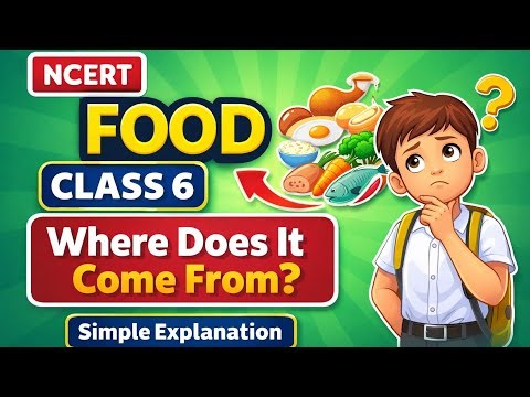 Class 6 Science Chapter 1 – Food: Where Does It Come From?💭