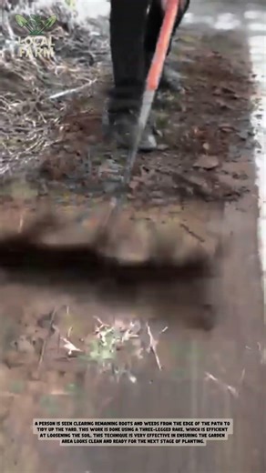 Efficient Root and Weed Clearing Tool Demonstration